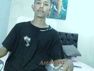 Antonilinz