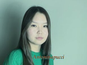 Antoninapucci