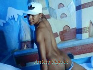 Antonybigcock