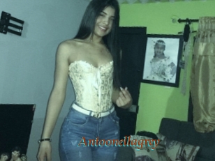 Antoonellagrey