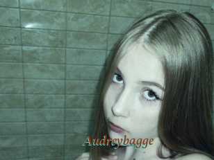 Audreybagge