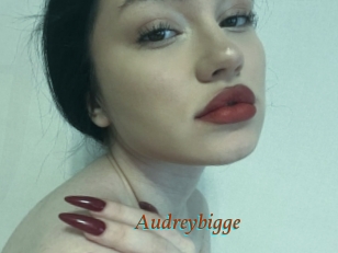 Audreybigge