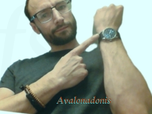 Avalonadonis