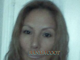 BANDACOOT