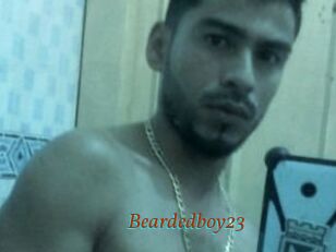 Beardedboy23
