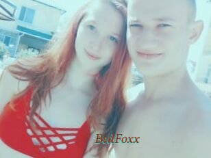 BedFoxx