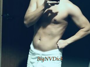 BigNVDick