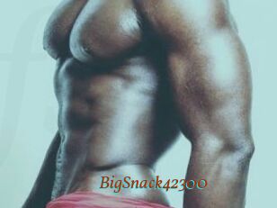 BigSnack42300
