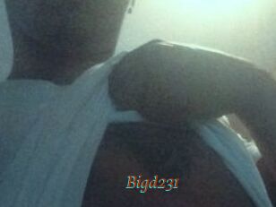 Bigd231
