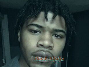 Black_Alfalfa