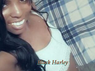 Black_Harley