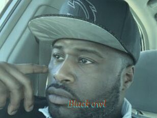 Black_owl