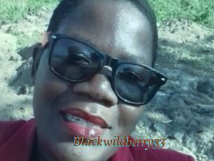 Blackwildberry33