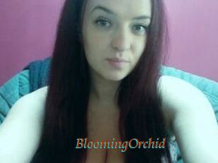 BloomingOrchid