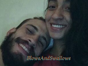 BlowsAndSwallows