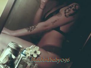 Bluebirdbaby096