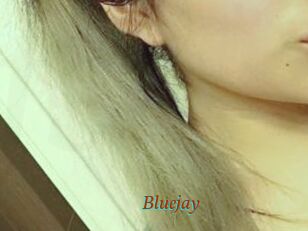 Blue_jay
