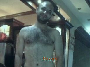 Bosom
