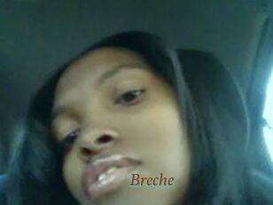 Breche