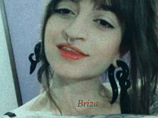 Briza