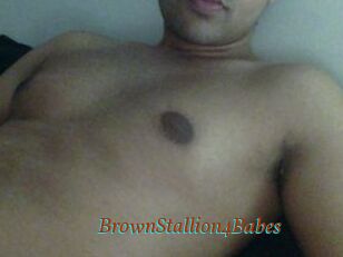 BrownStallion4Babes