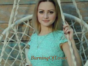 BurningOfLovee