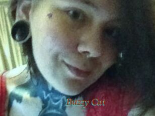 Buzzy_Cat