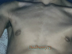 Badbunny75