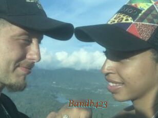 Bandb423