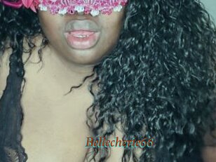 Bellecherie66
