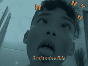 Benjaminwilde