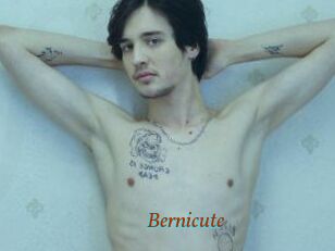 Bernicute