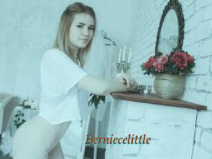 Berniecelittle