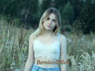 Berniecelittleb