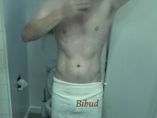 Bibud