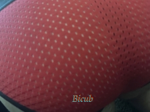 Bicub
