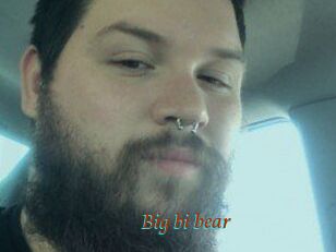 Big_bi_bear