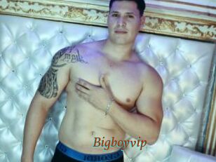 Bigboyvip
