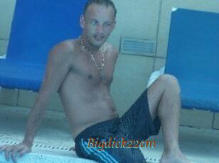 Bigdick22cm