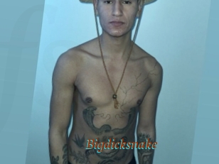Bigdicksnake
