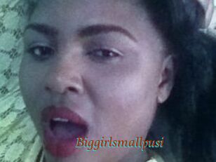 Biggirlsmallpusi