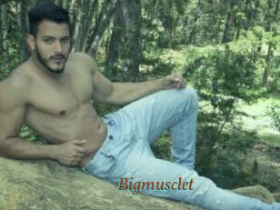 Bigmusclet