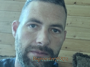 Bigrooster76872