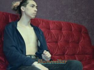 Blainemillar