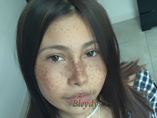 Bleydys