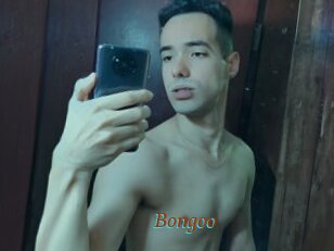 Bongoo