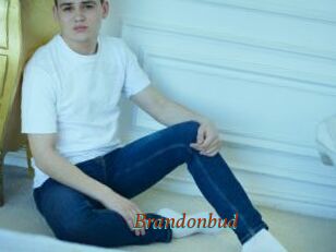 Brandonbud