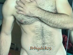 Brbigdick29