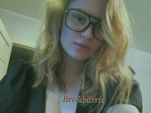 Breckbarris