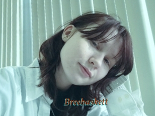 Breebaskett